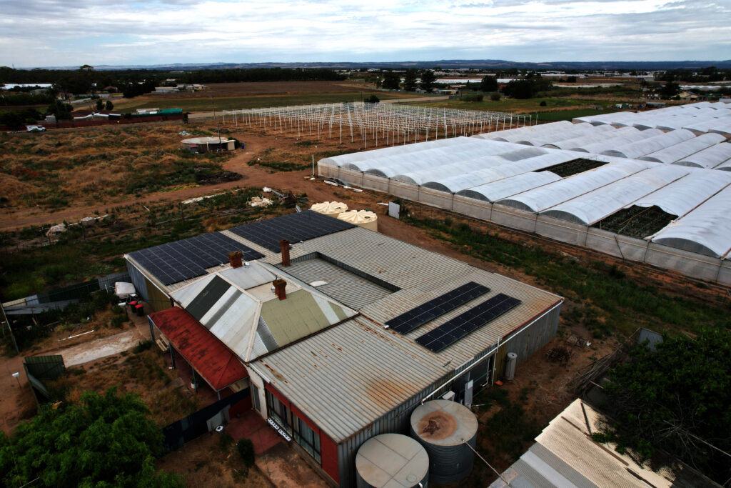 Veggie Farm